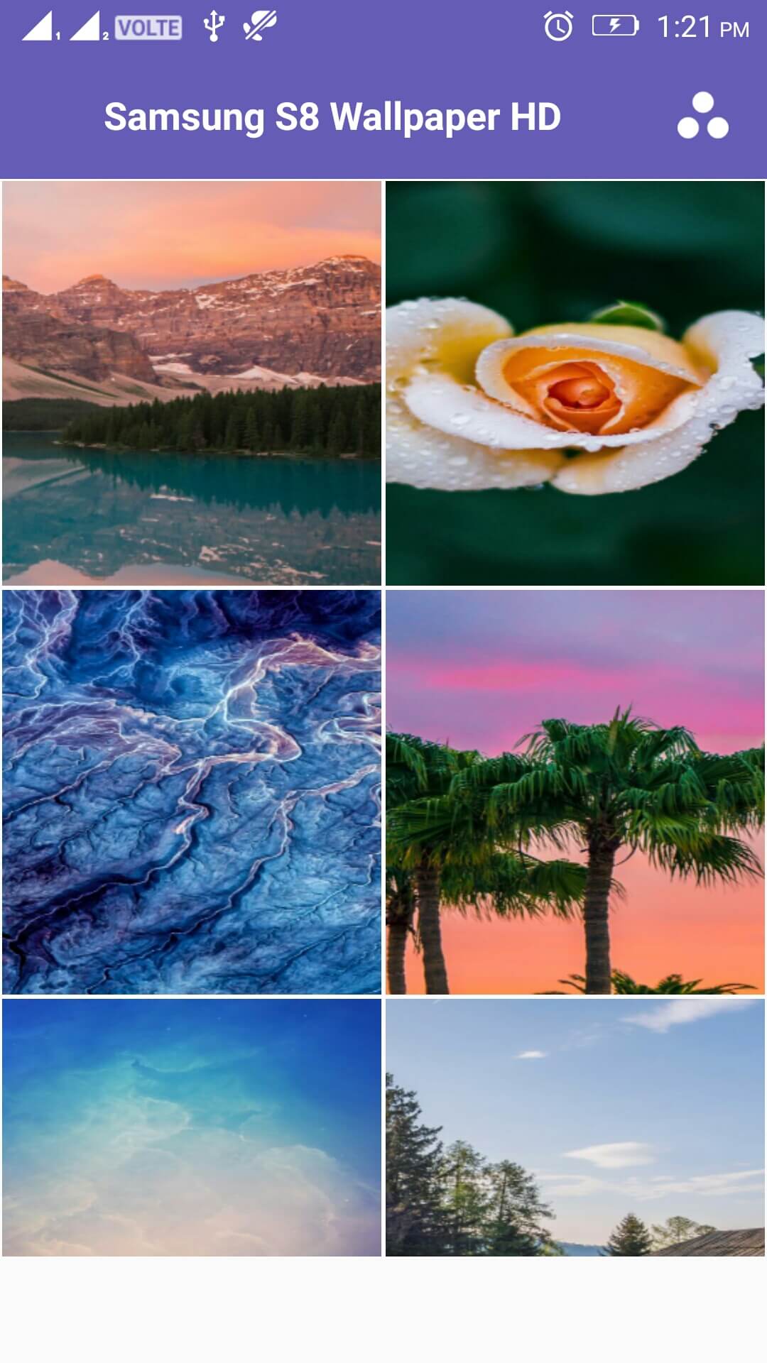 Collage - HD Wallpaper 
