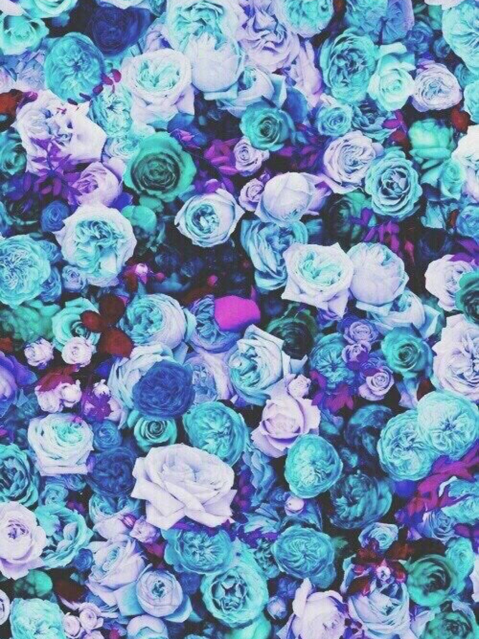 Blue Roses Tumblr Background - HD Wallpaper 