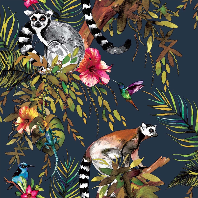 Holden Lemur - HD Wallpaper 