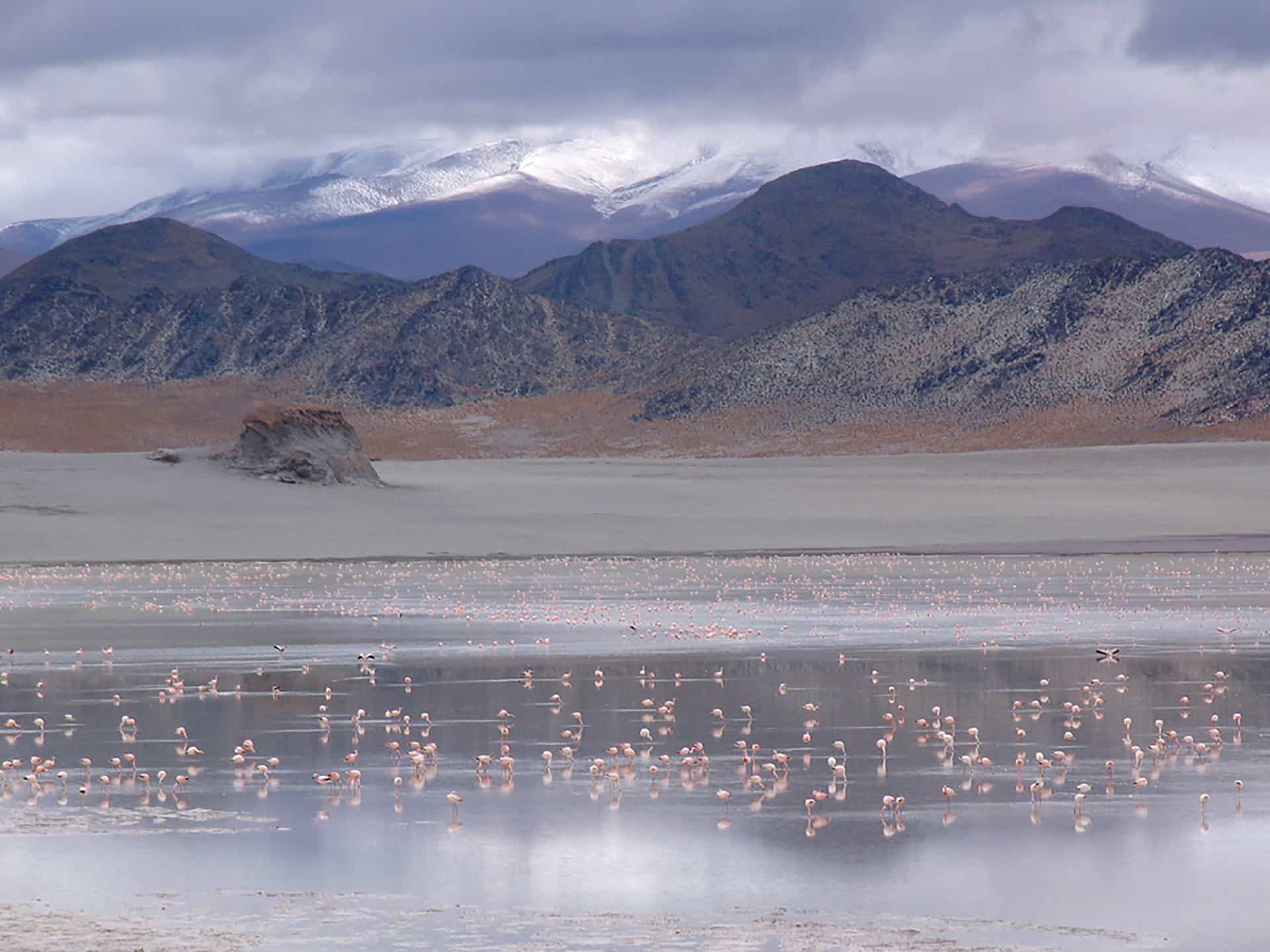 Laguna Grande, Argentina - Summit - HD Wallpaper 