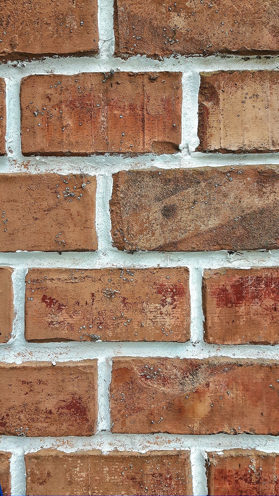 Wall, House, Facade, Red, Color, Backgrounds, Wall - Phone Wallpaper Skull Roses - HD Wallpaper 