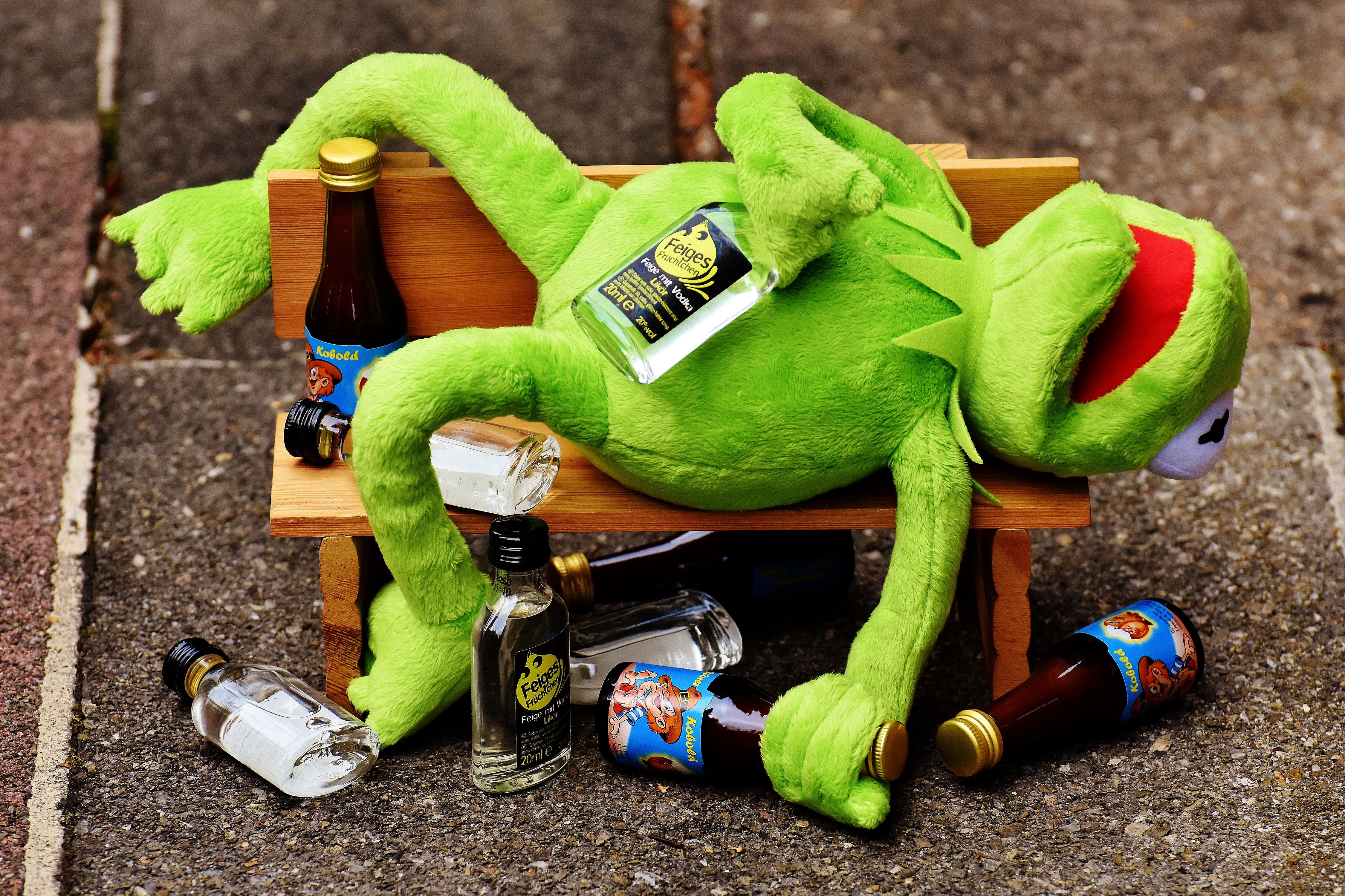 Kermit The Frog Drunk Meme - HD Wallpaper 