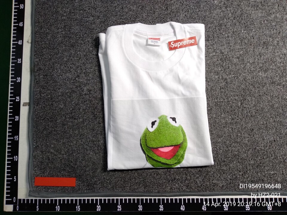 Bullfrog - HD Wallpaper 