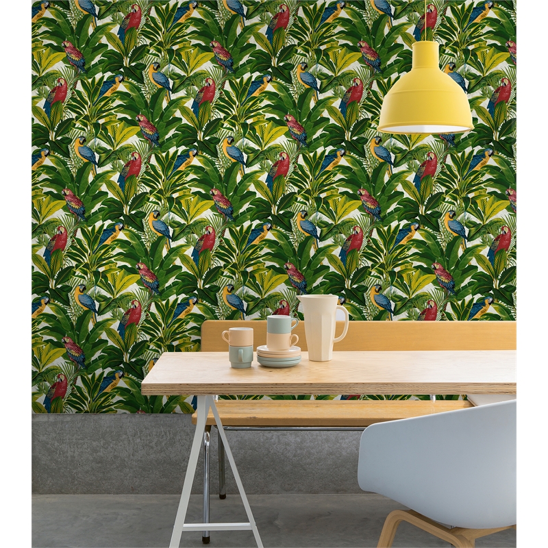 Parrot Wallpaper Homebase - HD Wallpaper 