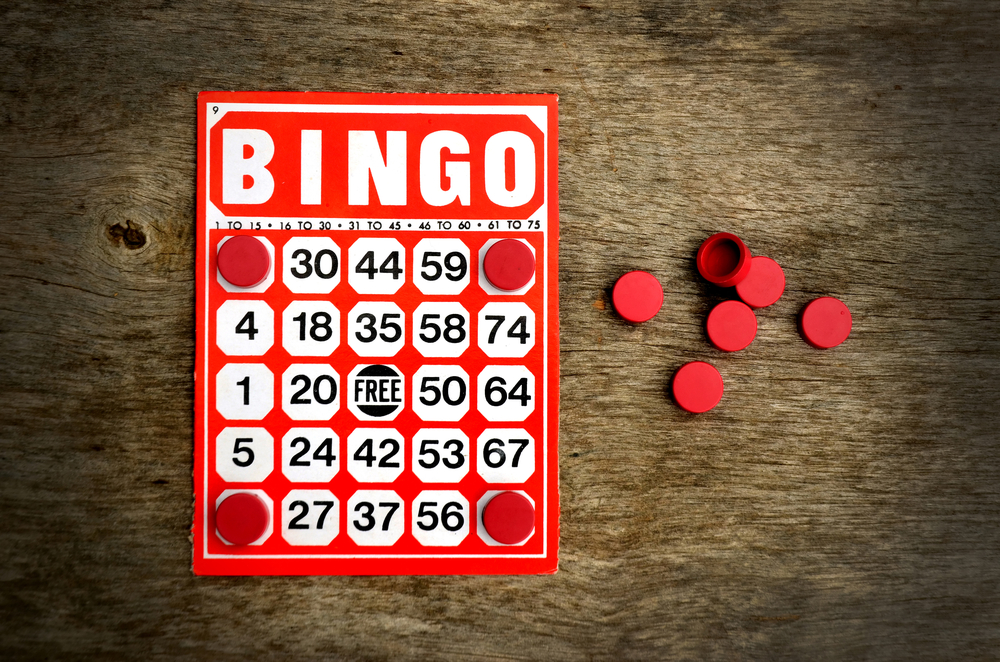 Wonderopolis - Bingo Grandma - HD Wallpaper 