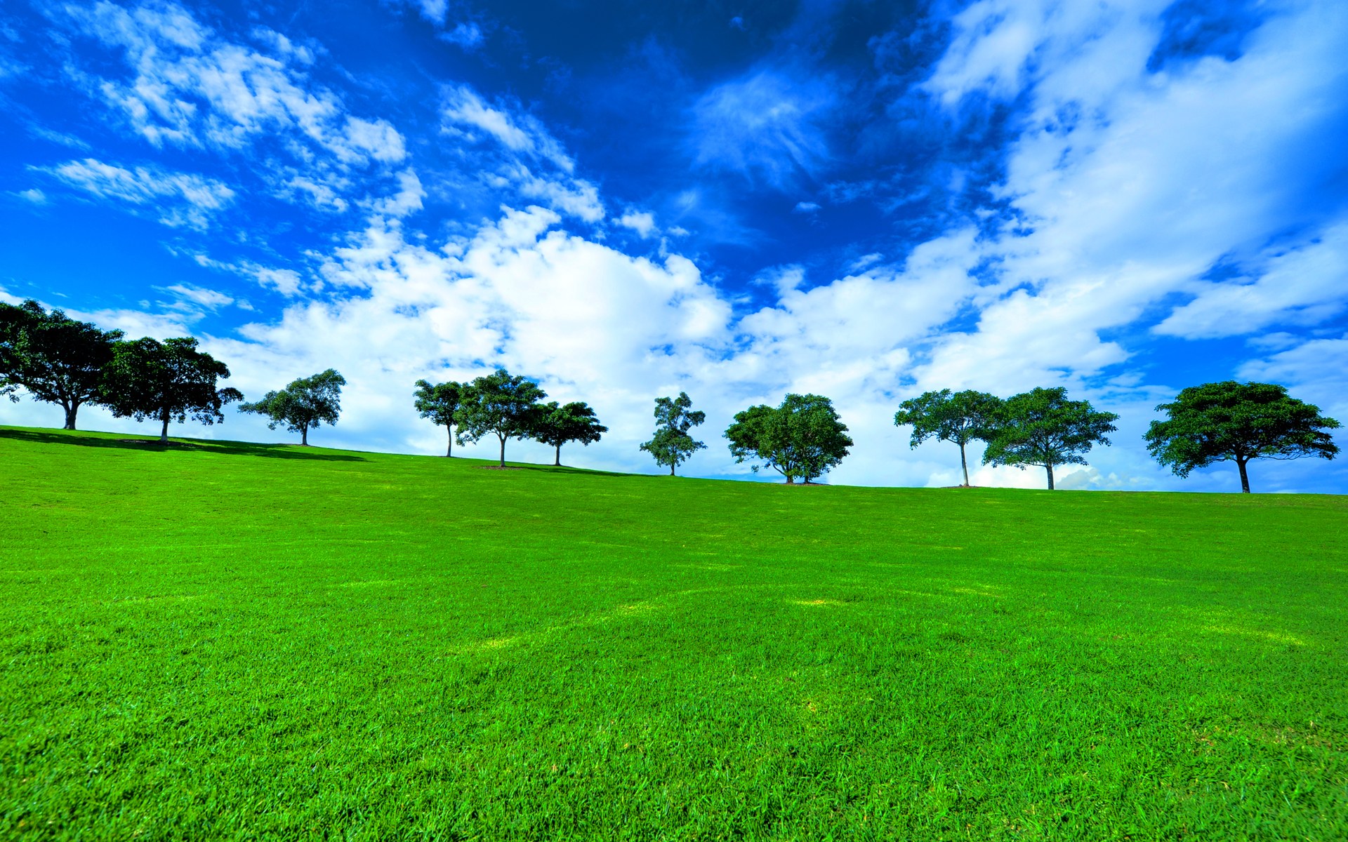 Green Ground Wallpaper Hd - 1920x1200 Wallpaper Green Ground Wallpaper Hd - 1920x1200 Wallpaper