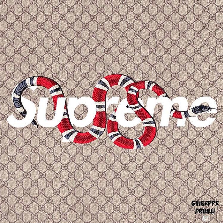 Supreme Gucci Background 750x750 Wallpaper Teahub Io