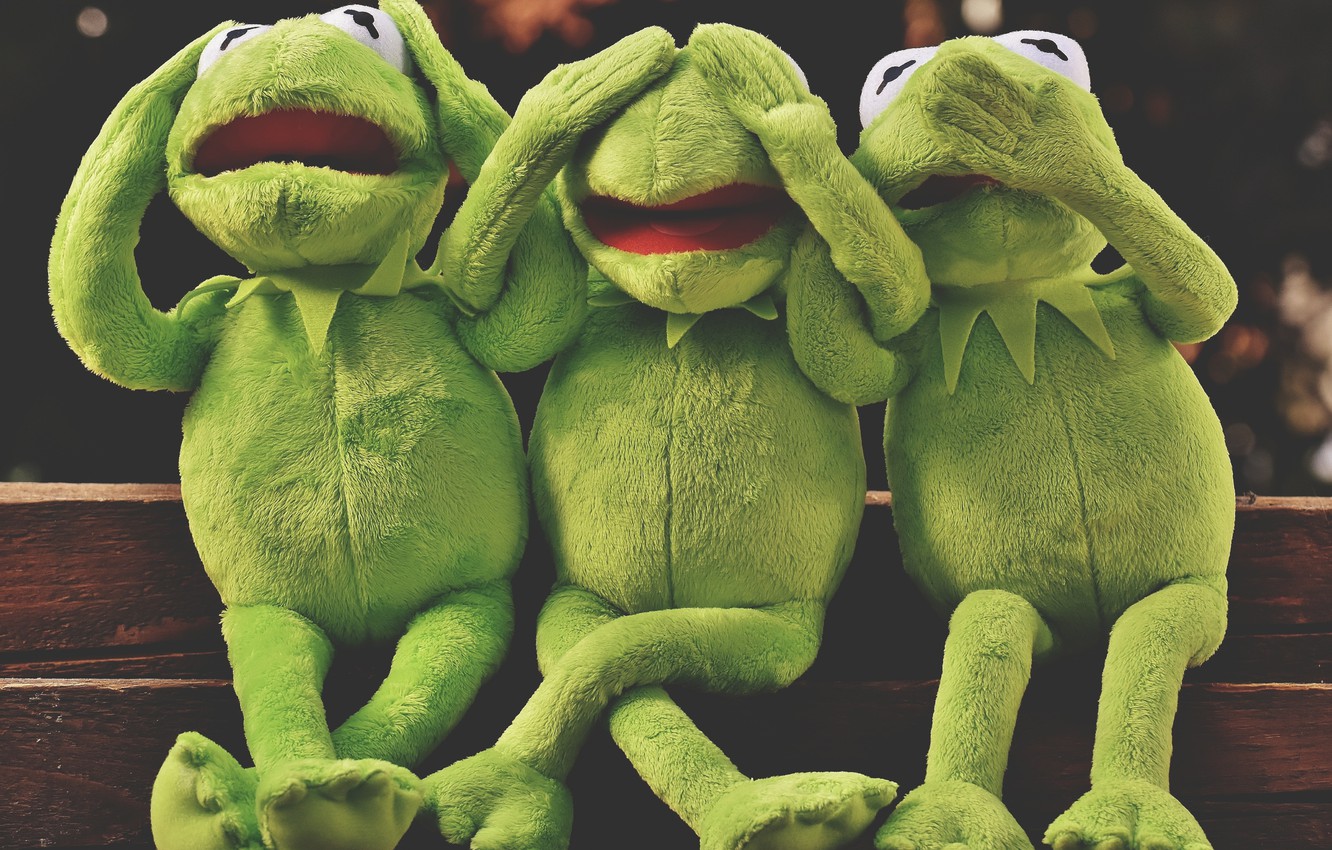 Photo Wallpaper Emotions, The Muppets, Do Not Say Anything, - Entertainment Best Whatsapp Group - HD Wallpaper 