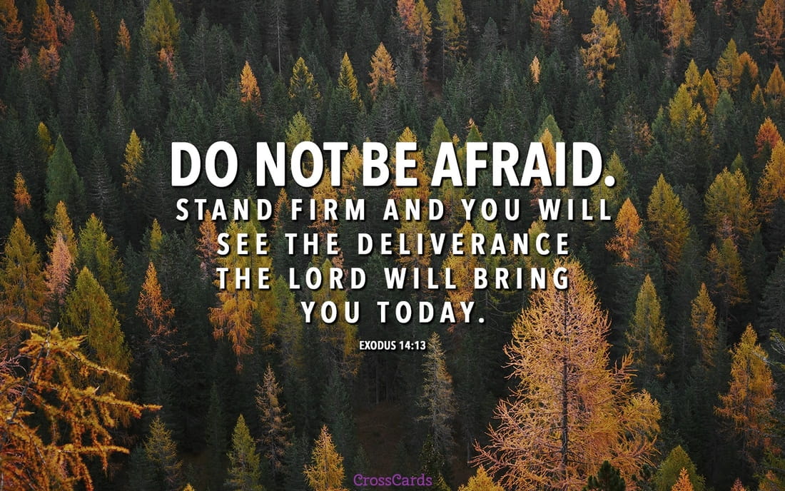 Do Not Be Afraid - Fall Background - HD Wallpaper 