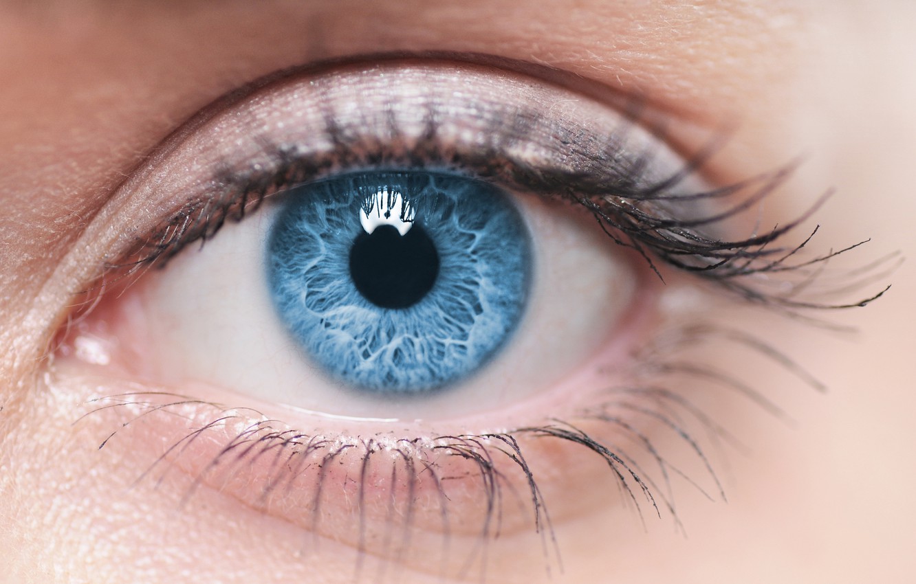 Photo Wallpaper Sexy, Blue Eyes, Eye - High Quality Blue Eye - HD Wallpaper 