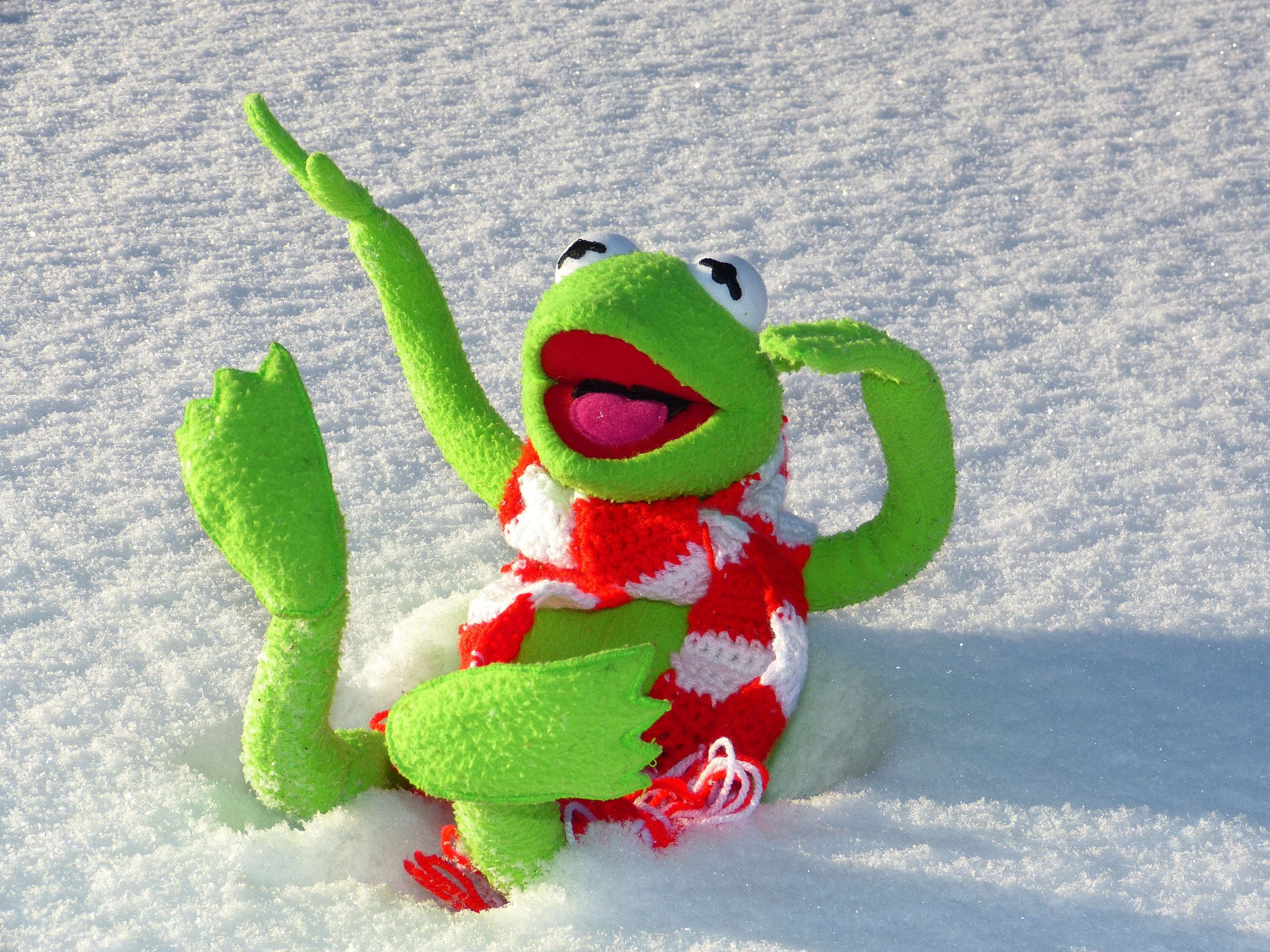 Kermit In The Snow - HD Wallpaper 