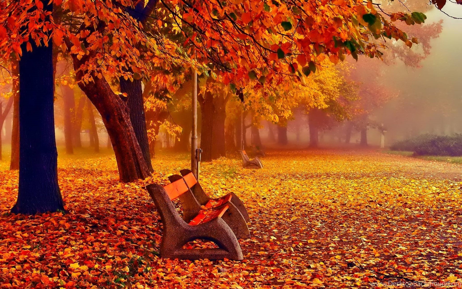 Widescreen 
 Data-src /w/full/f/d/8/398791 - November Fall Desktop Backgrounds - HD Wallpaper 