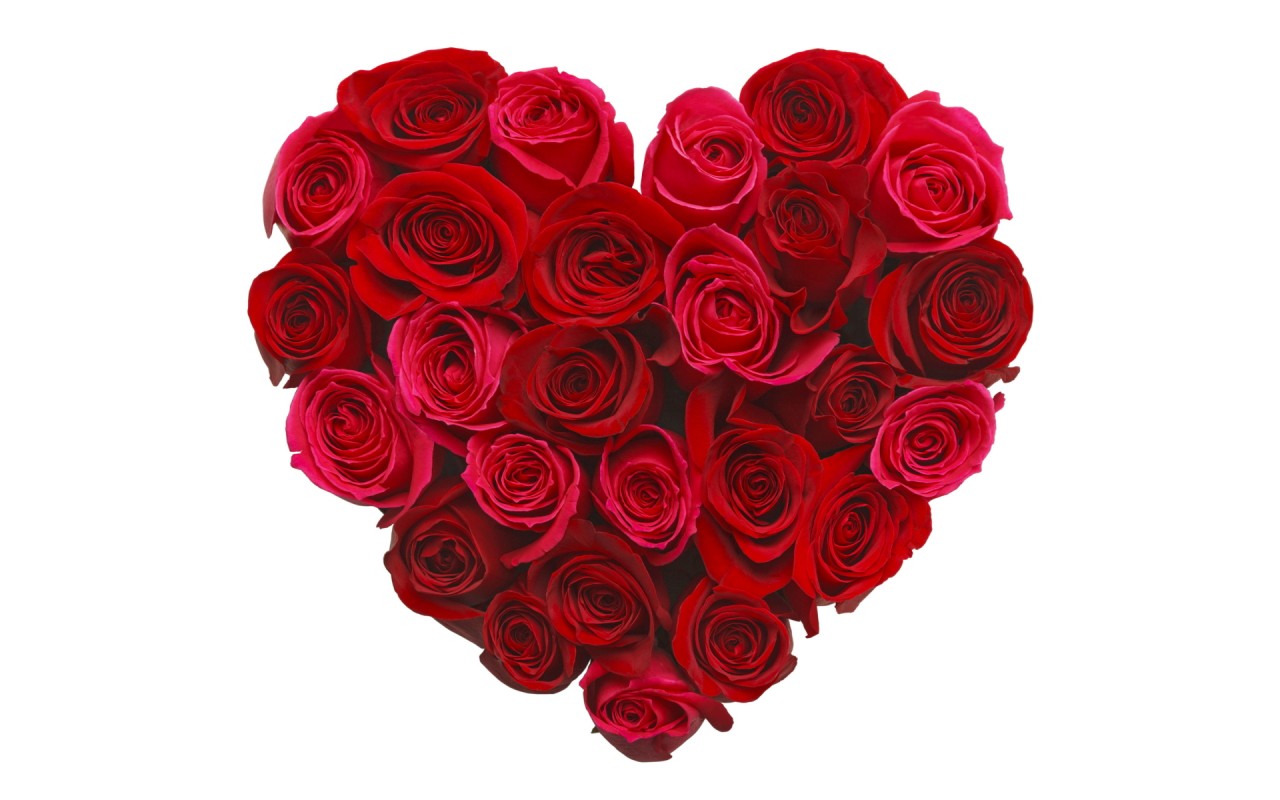 Red Roses Heart Wallpapers - Romantic Rose With Love Quotes - HD Wallpaper 