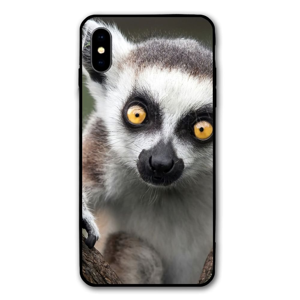 Lemur Eye Eye Animal - HD Wallpaper 