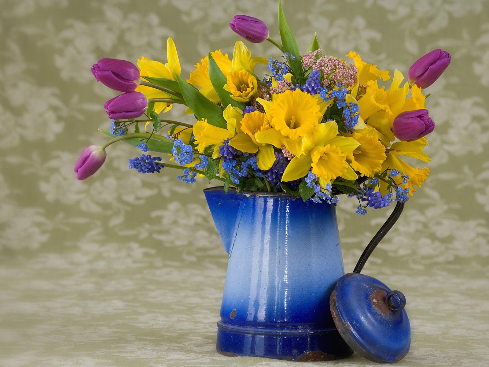 Spring Flowers Wallpaper 1080p For Free Wallpaper - Spring Season Spring Desktop Backgrounds - HD Wallpaper 