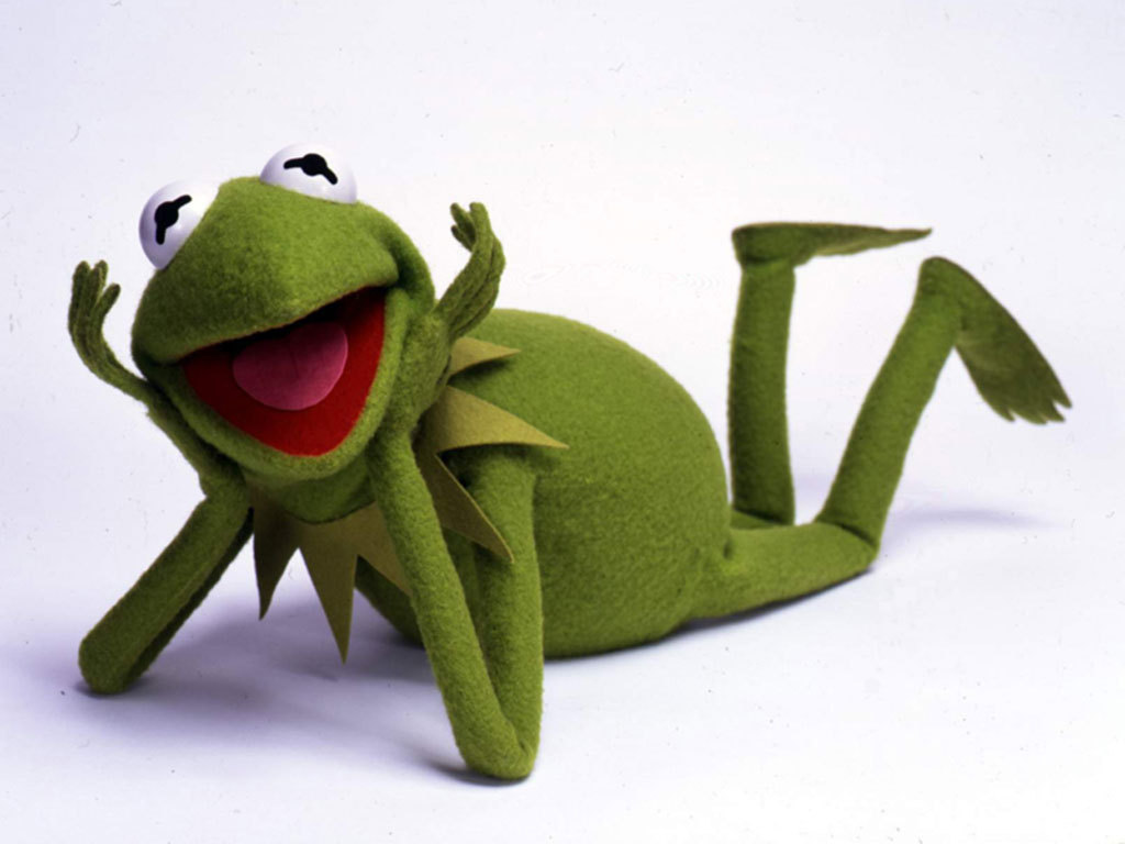 Kermit - Kermit The Frog Posing - HD Wallpaper 