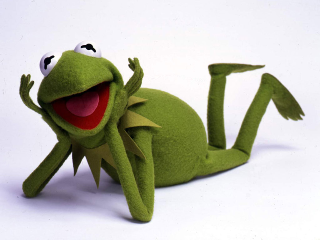 Kermit Kermit The Frog Posing 1024x768 Wallpaper Teahub Io