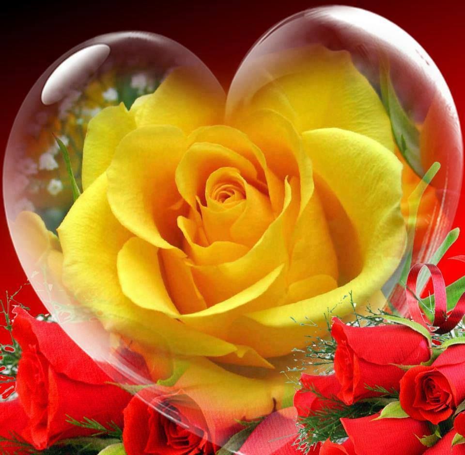 Yellow Heart With Rose - HD Wallpaper 