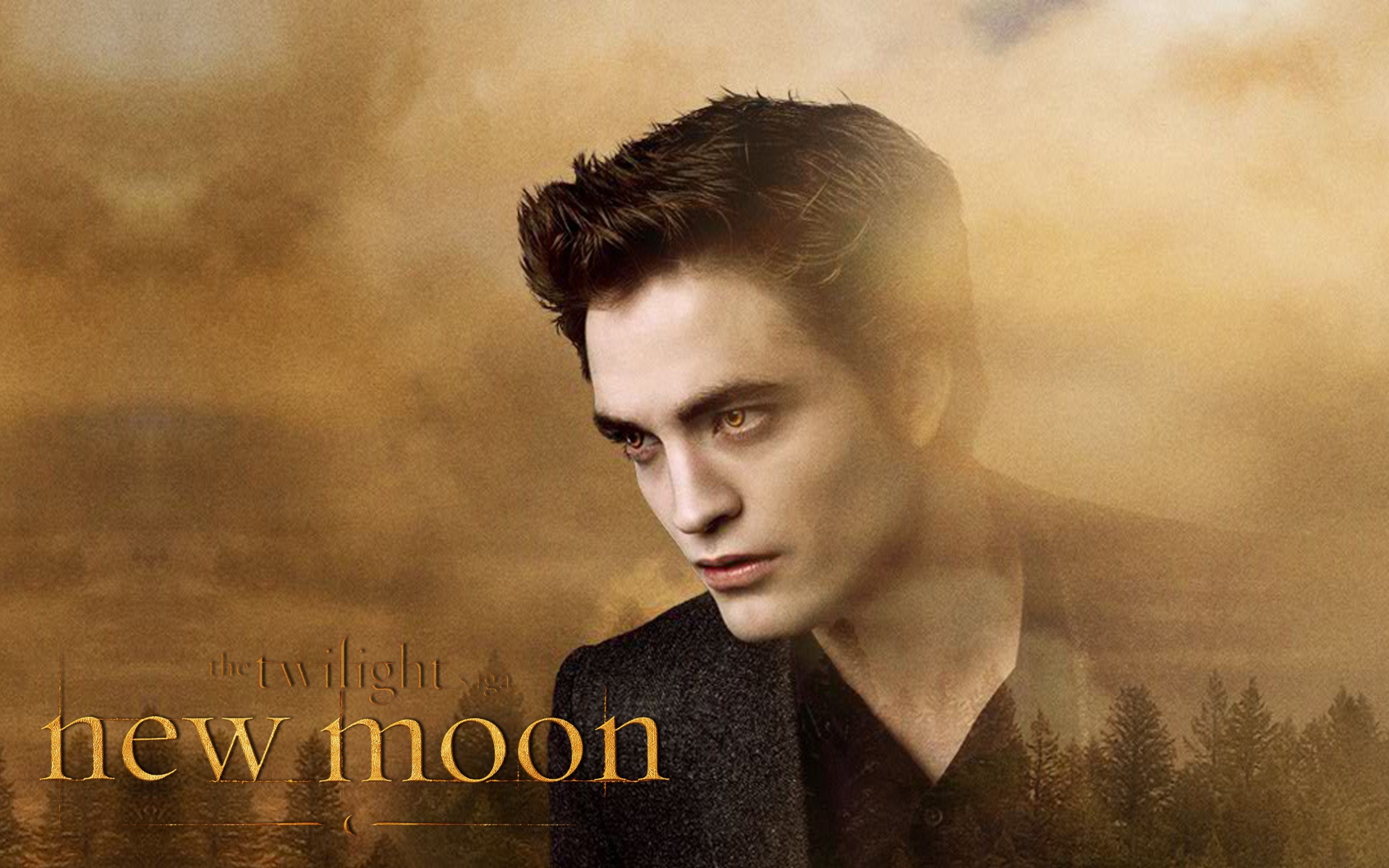 Jacob And Edward Twilight - HD Wallpaper 