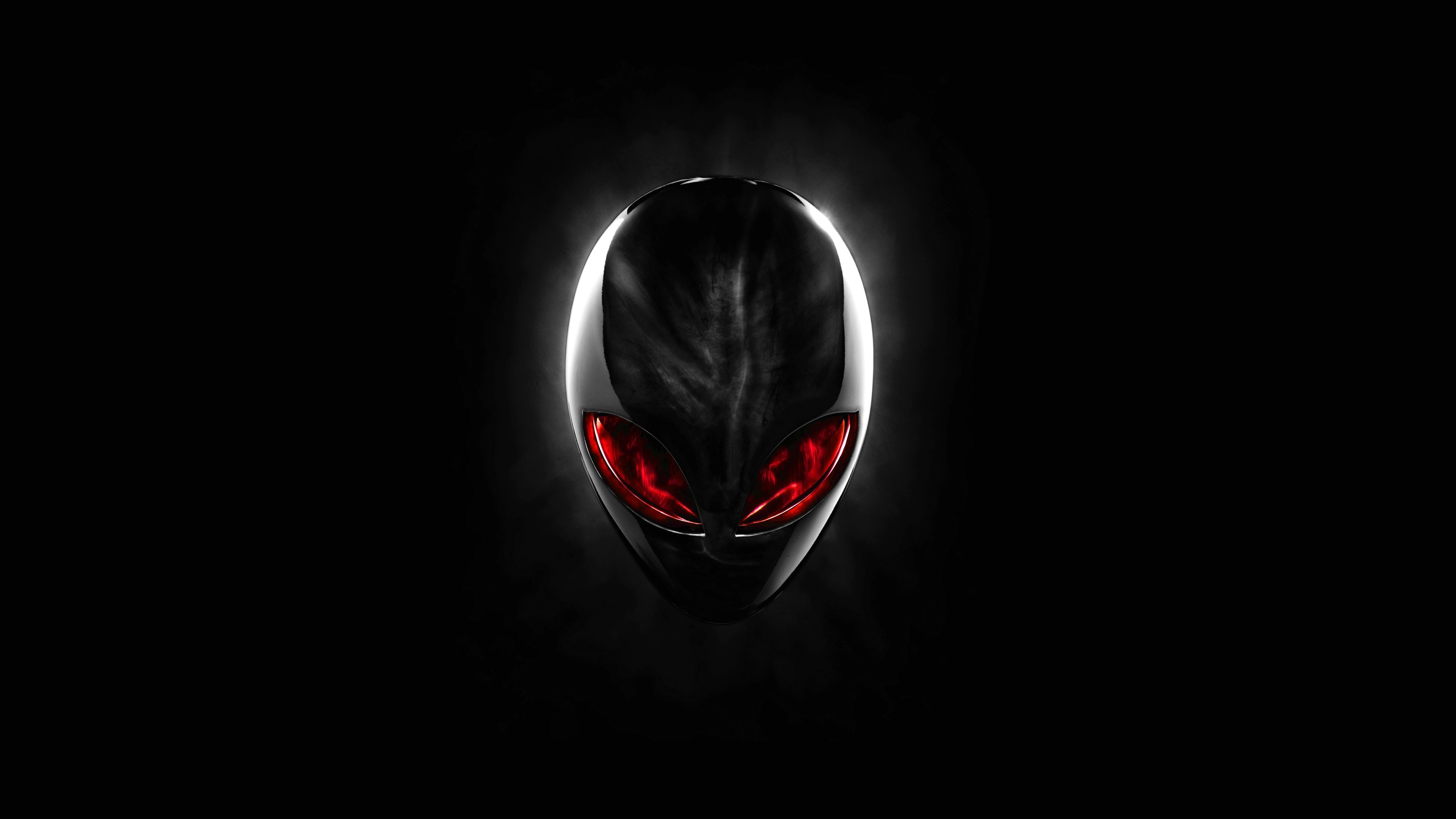 Wallpaper - HD Wallpaper 