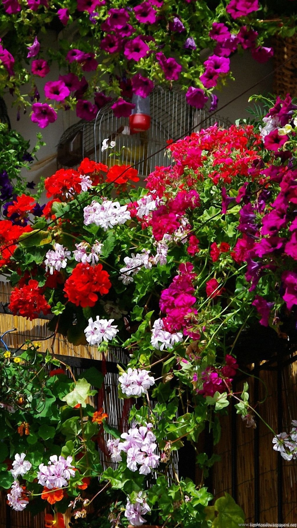 Different Images Hd Download - HD Wallpaper 