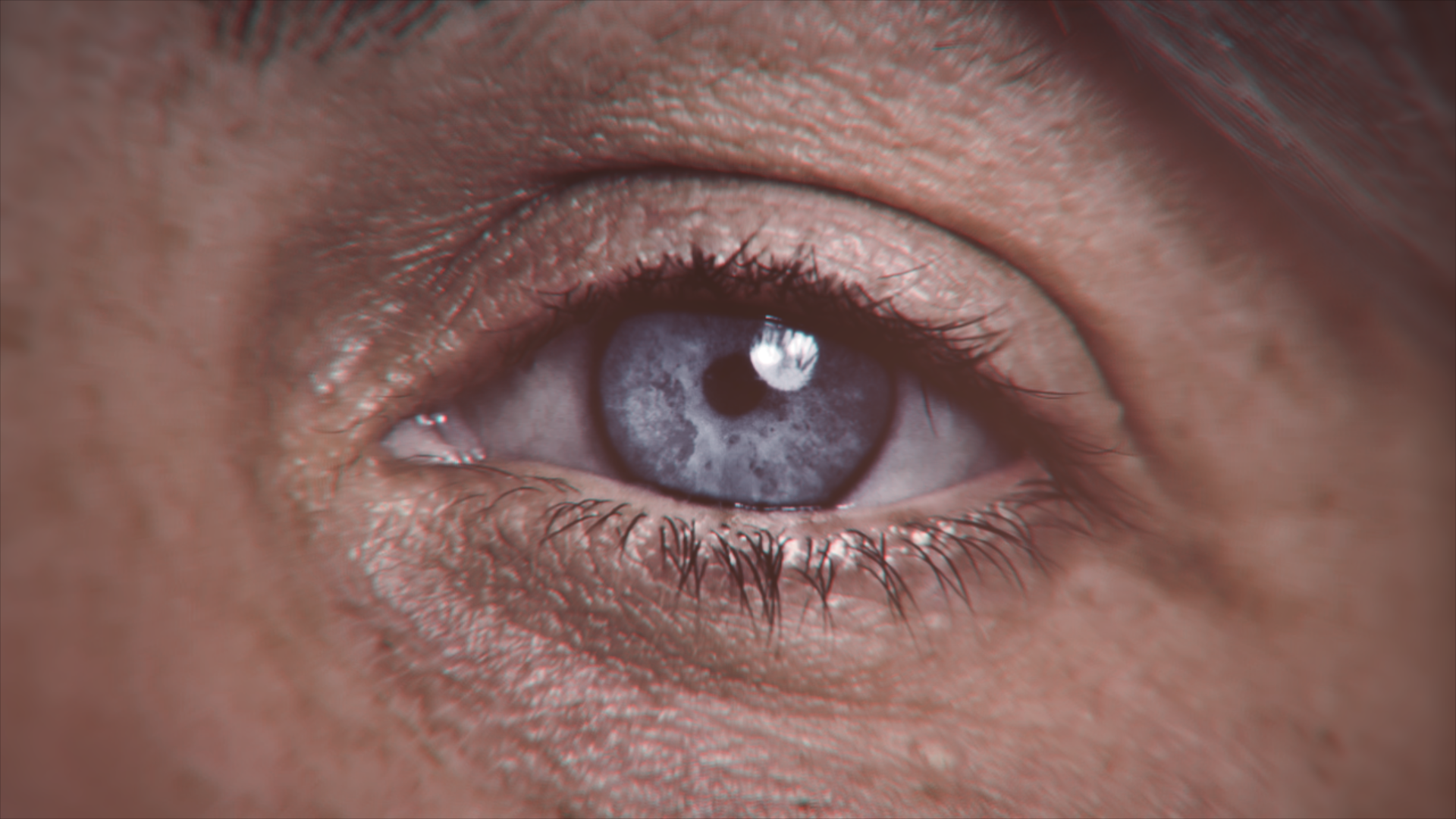 Close-up - HD Wallpaper 