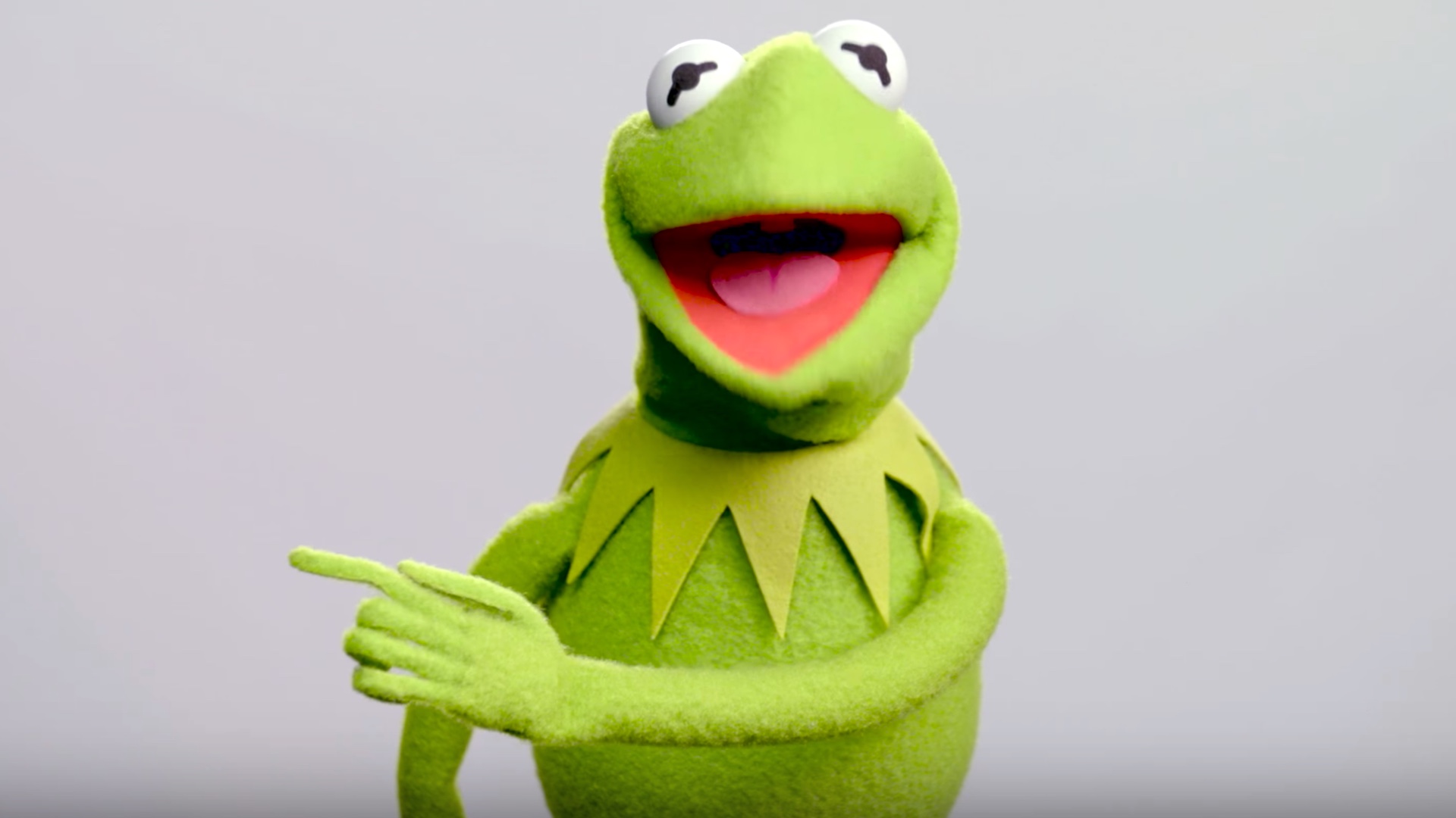 Kermit The Frog Theme - HD Wallpaper 
