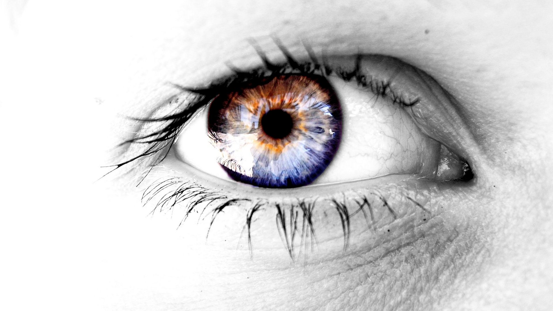 Artistic Eye Wallpaper - Eye Artistic - HD Wallpaper 