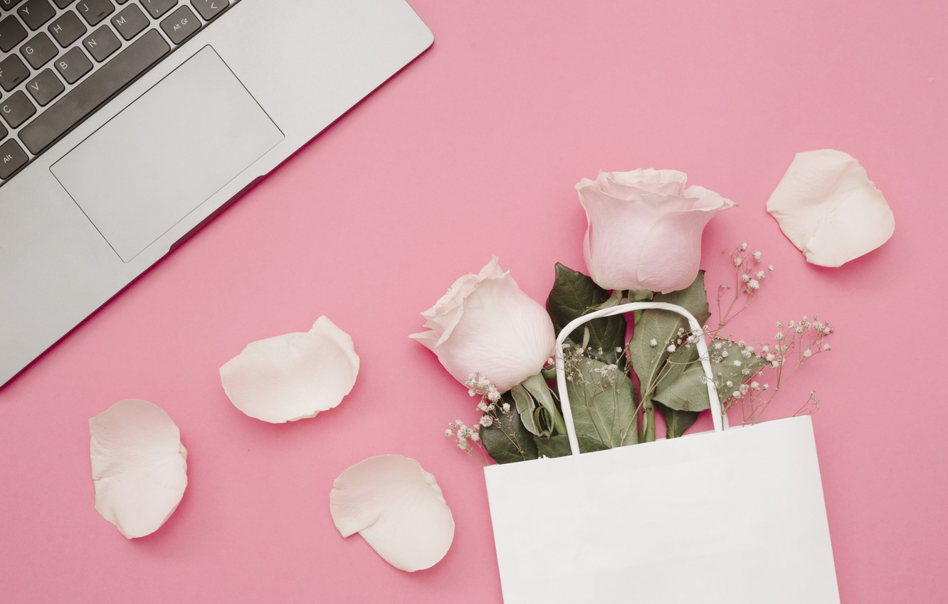 Photo Wallpaper Flowers, Background, Pink, Roses, Petals, - Background Desktop Laptop Pink - HD Wallpaper 
