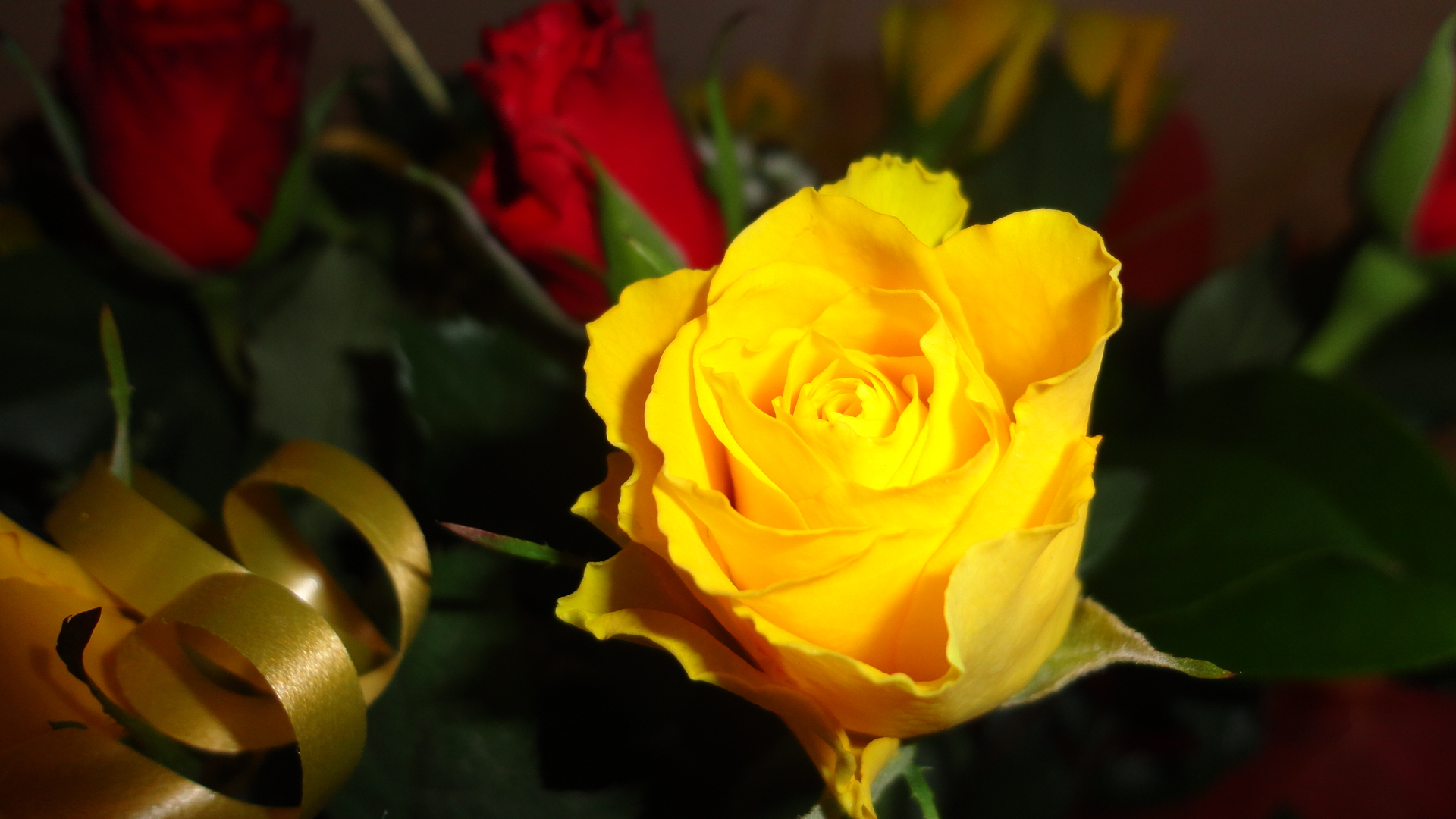 Beautiful Yellow Flowers Wallpaper 1080p Is 4k Wallpaper - Beautiful Yellow Rose Flower - HD Wallpaper 