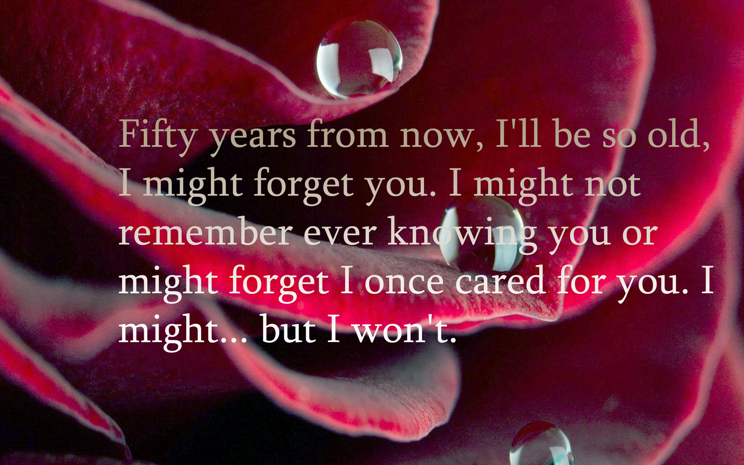 Friendship Quote - Me And You Forever - HD Wallpaper 