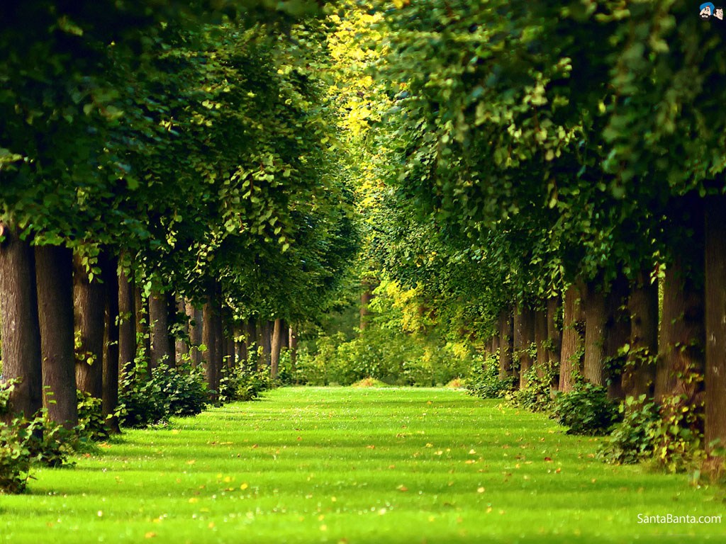 Garden Hd Wallpapers Free Download - HD Wallpaper 