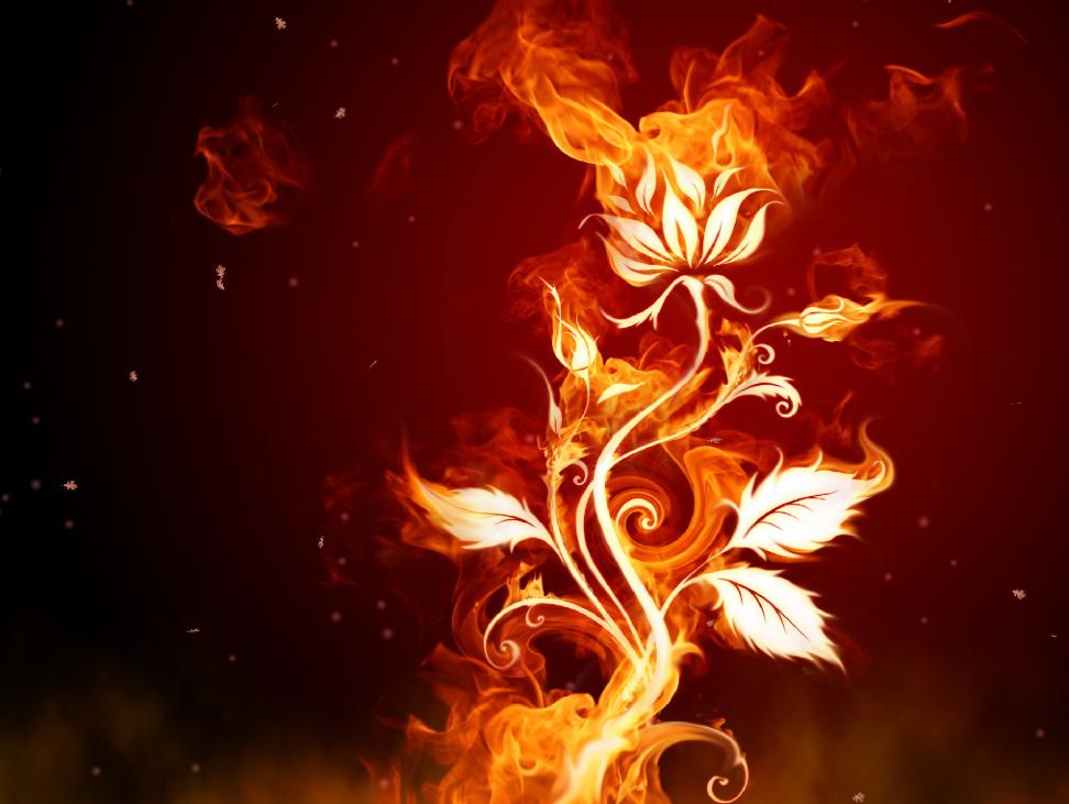 Fire Screensavers - HD Wallpaper 