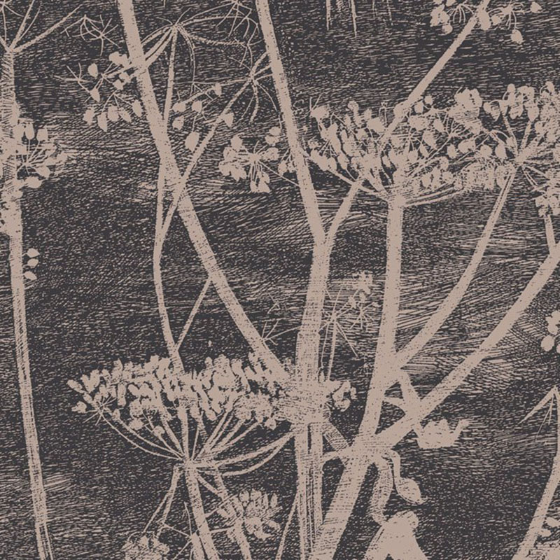 Cs Cow Parsley - Cole And Son Cow Parsley - HD Wallpaper 