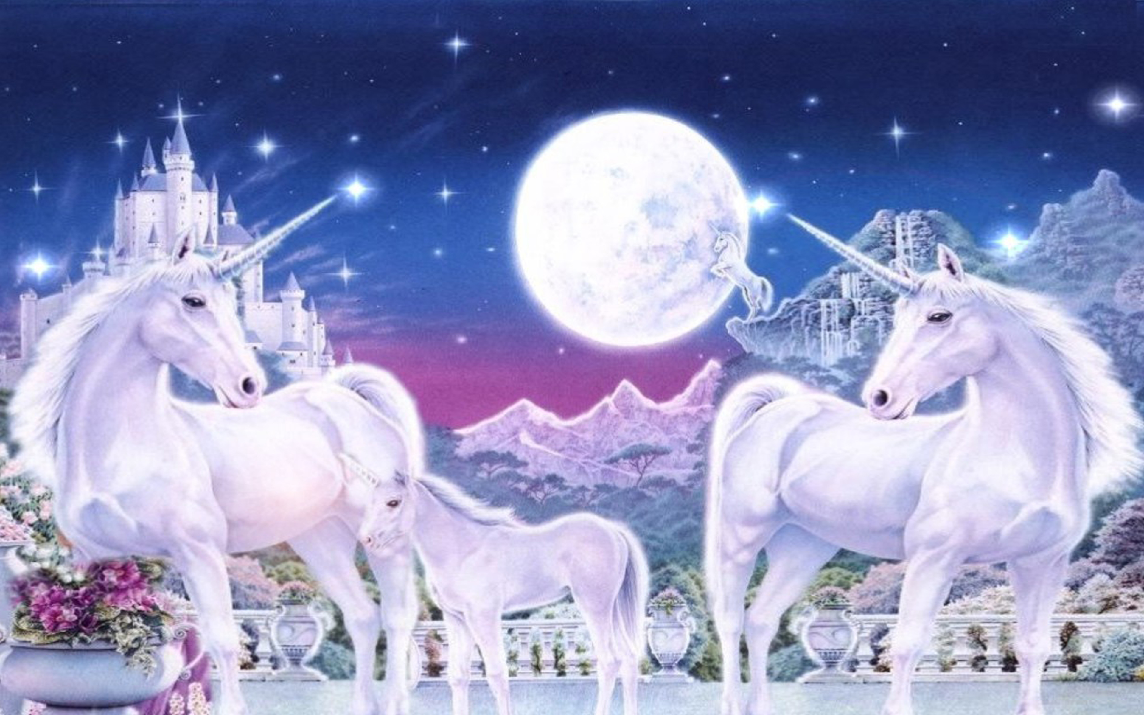Snow White And Unicorn 3840x2400 Wallpaper teahub.io