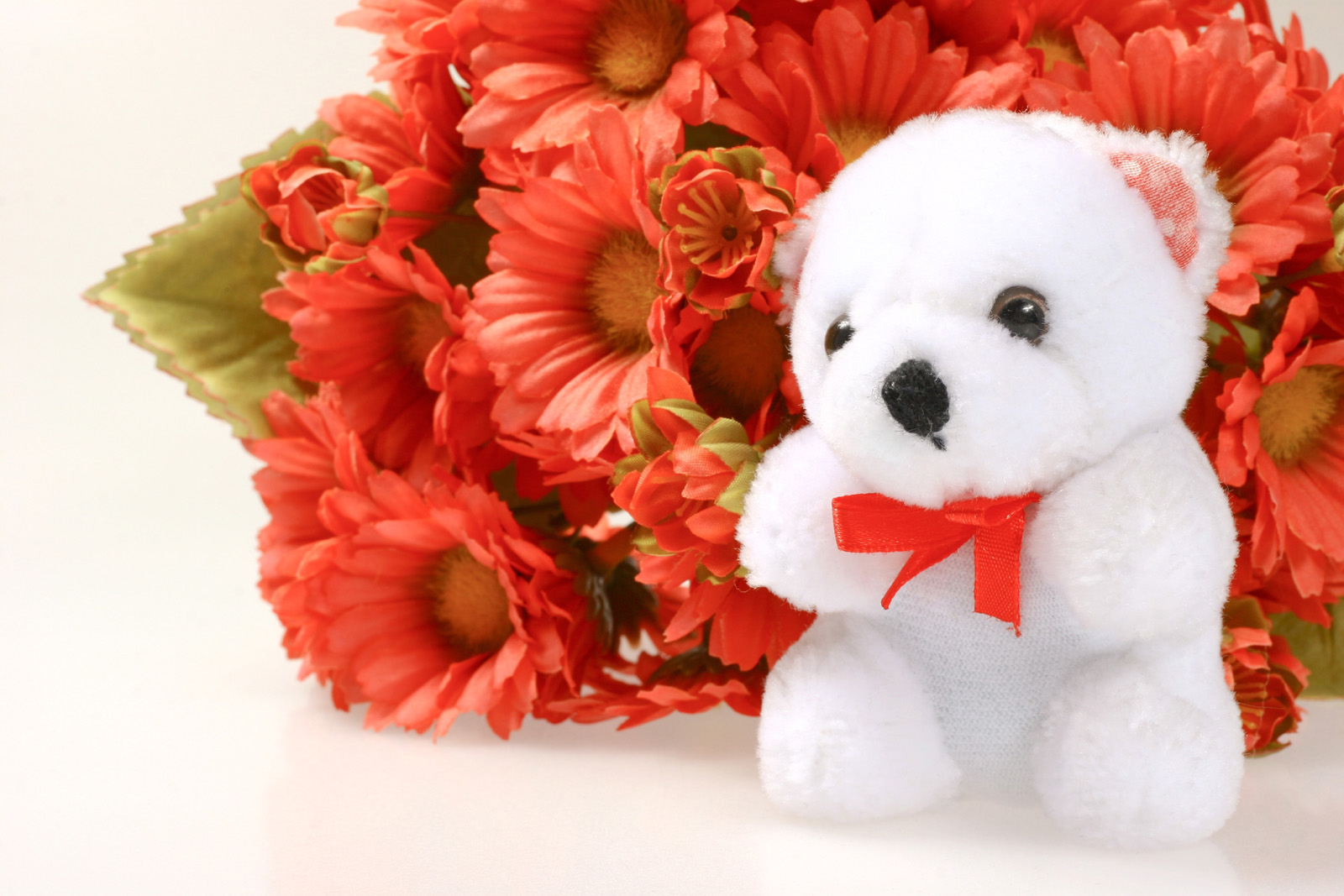 Cute White Teddy Bear - Teddy Bears With Flowers - HD Wallpaper 