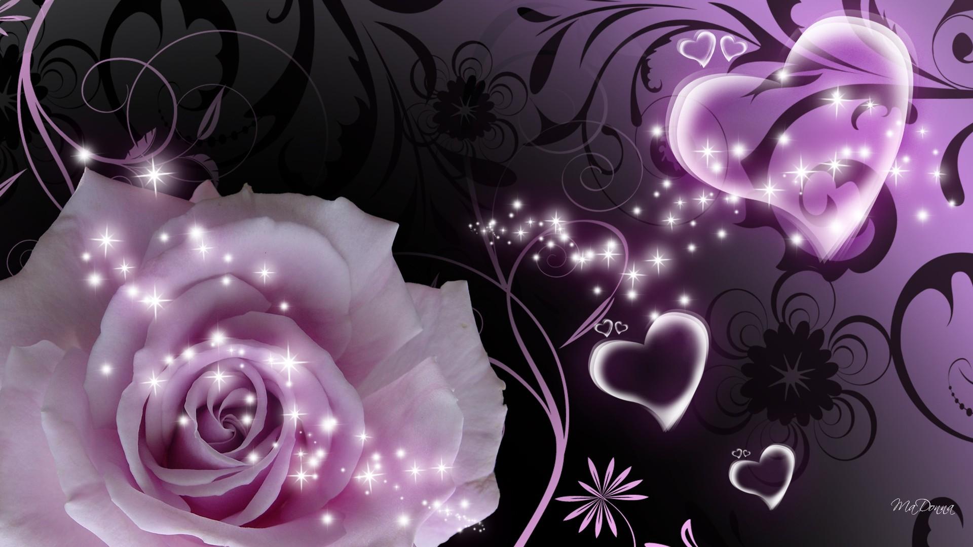 Rose With Heart Wallpaper - Dark Purple Rose Wallpaper Hd For Mobile -  1920x1080 Wallpaper 