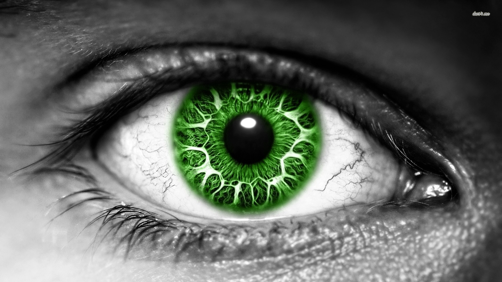 Green Eye Wallpaper Hd - HD Wallpaper 