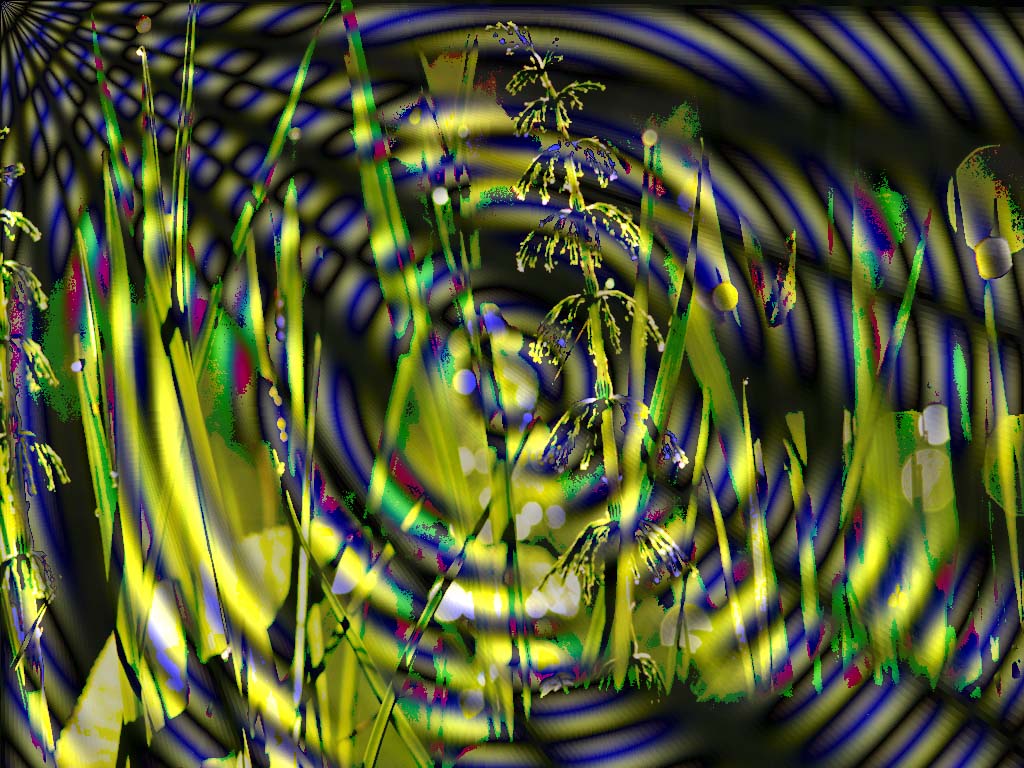 Wood Feng Shui Wallpapers - Fractal Art - HD Wallpaper 