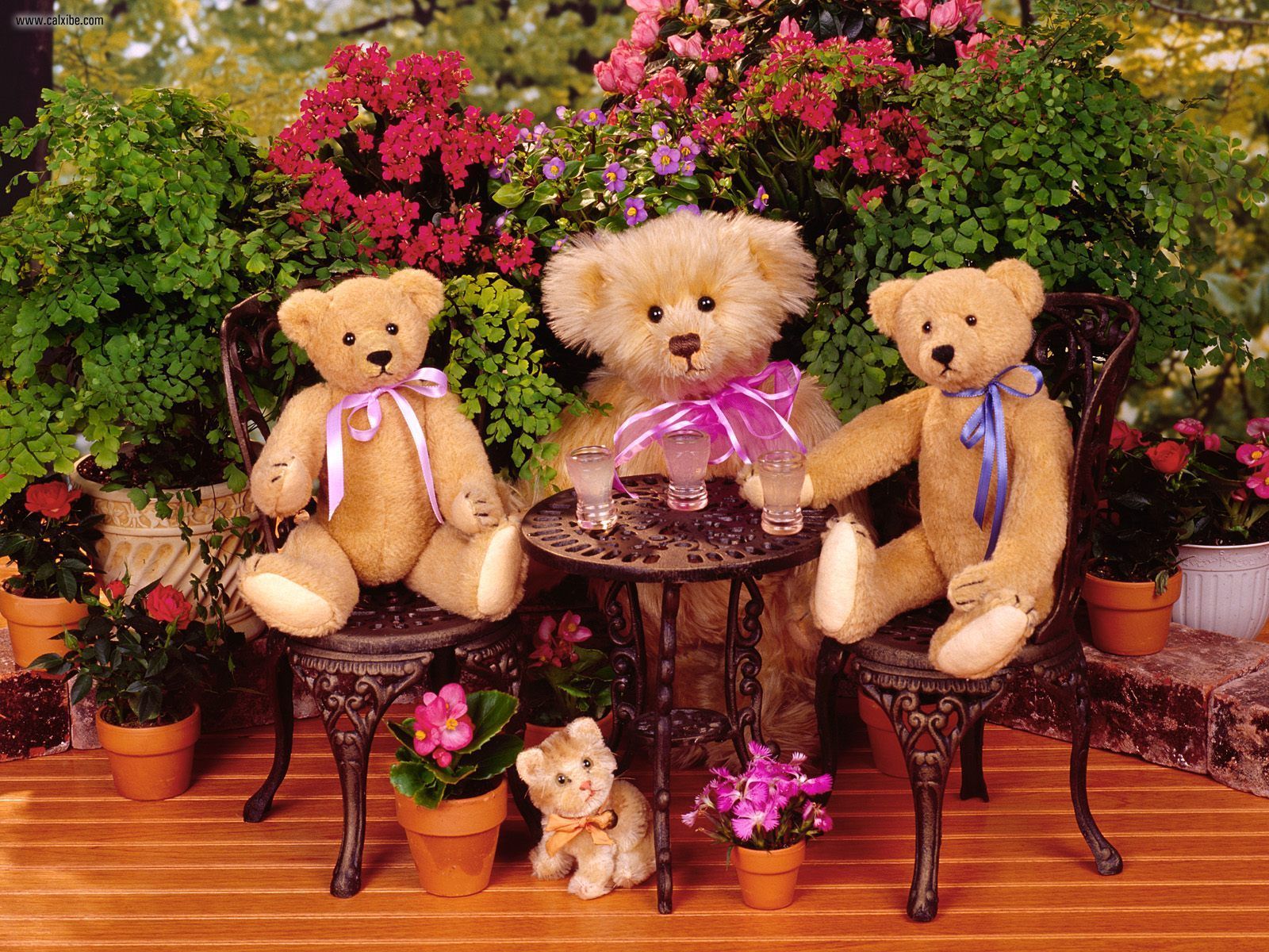 Teddy Bear Garden Party - HD Wallpaper 