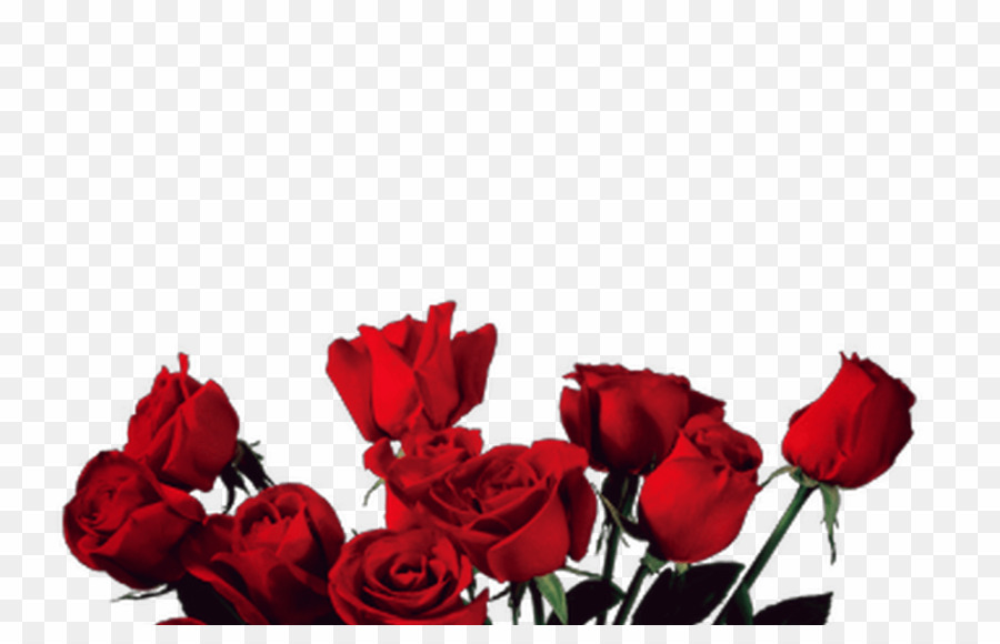 Aesthetic Rose Png Desktop Wallpaper Rose Clipart - Transparent Red Aesthetic Png - HD Wallpaper 