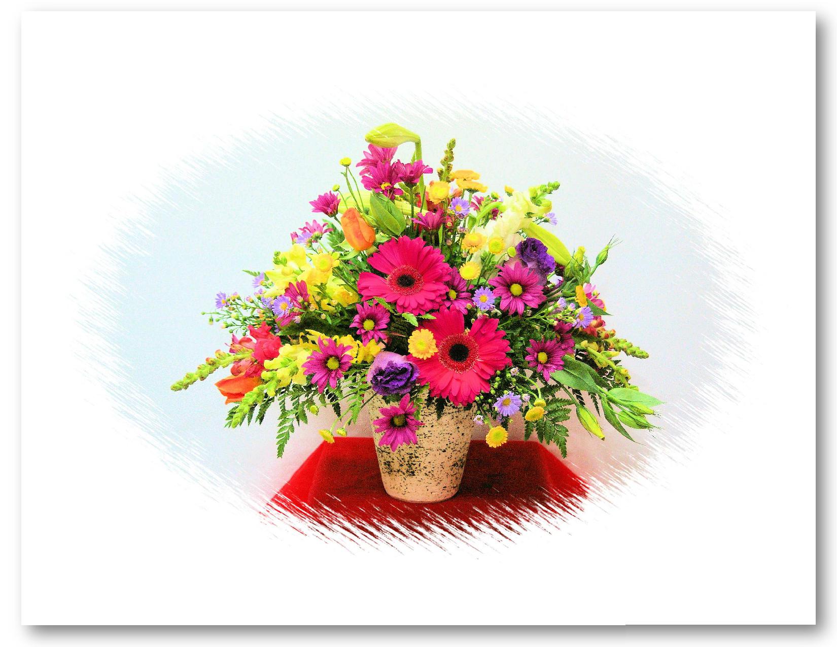 Pots Of Flowers - Flowers In Pots - HD Wallpaper 