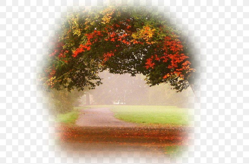 Desktop Wallpaper Autumn Animated Film, Png, 600x542px, - Buona Domenica D Autunno - HD Wallpaper 