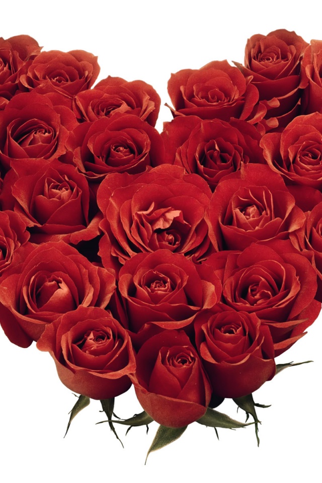 Hearts And Roses - HD Wallpaper 