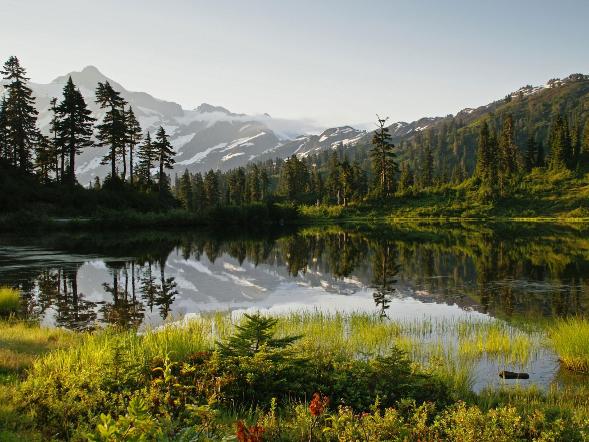 Picture Lake Windows 7 Scenery Wallpaper - Alaskan Nature Forest 4k - HD Wallpaper 