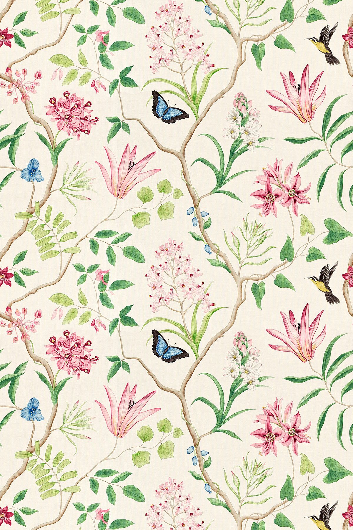 Sanderson Voyage Of Discovery Wallpaper Clementine - HD Wallpaper 