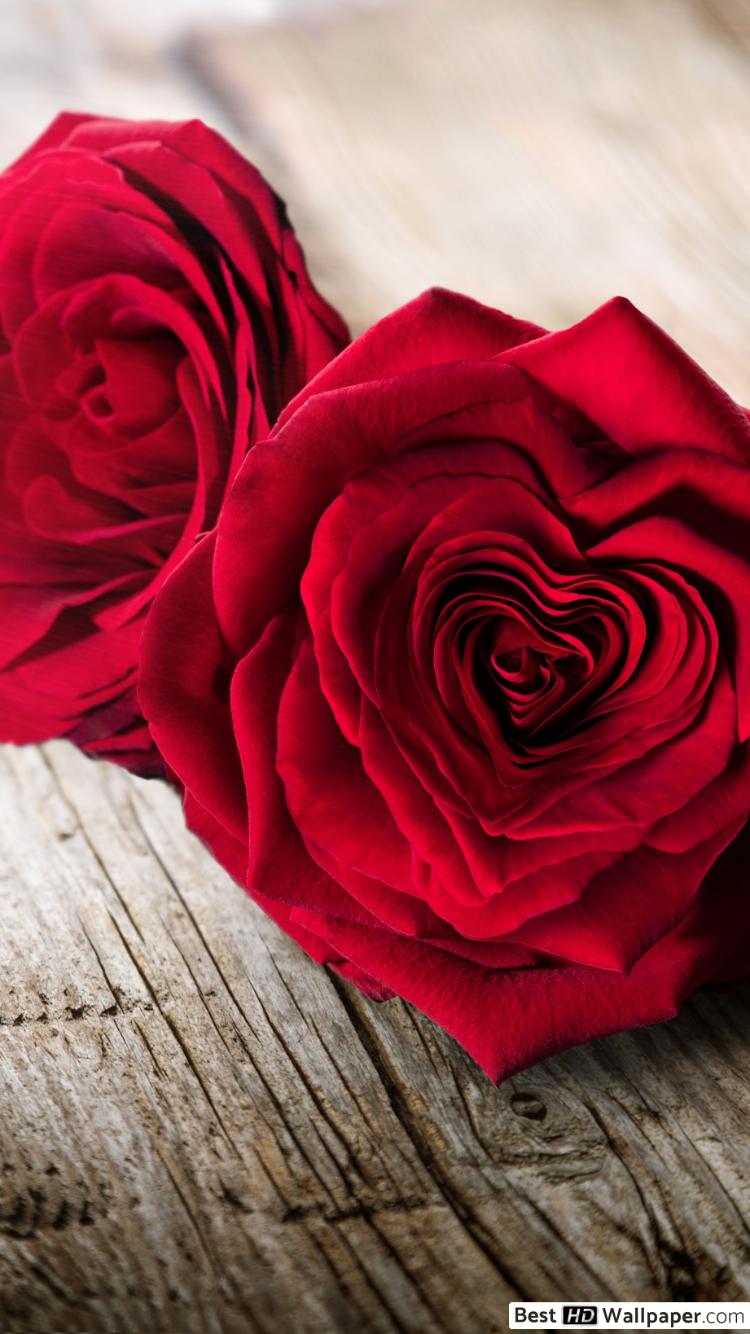 Roses On Wood Floor - HD Wallpaper 