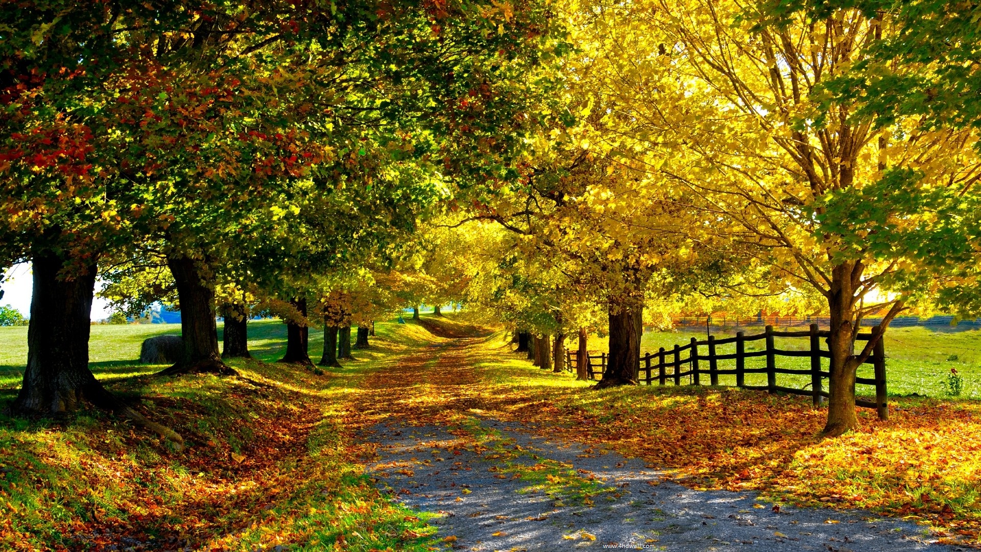 Autumn Season Hd Wallpapers, Hd Autumn Seasons Wallpapers - Nature Desktop Wallpaper Hd - HD Wallpaper 