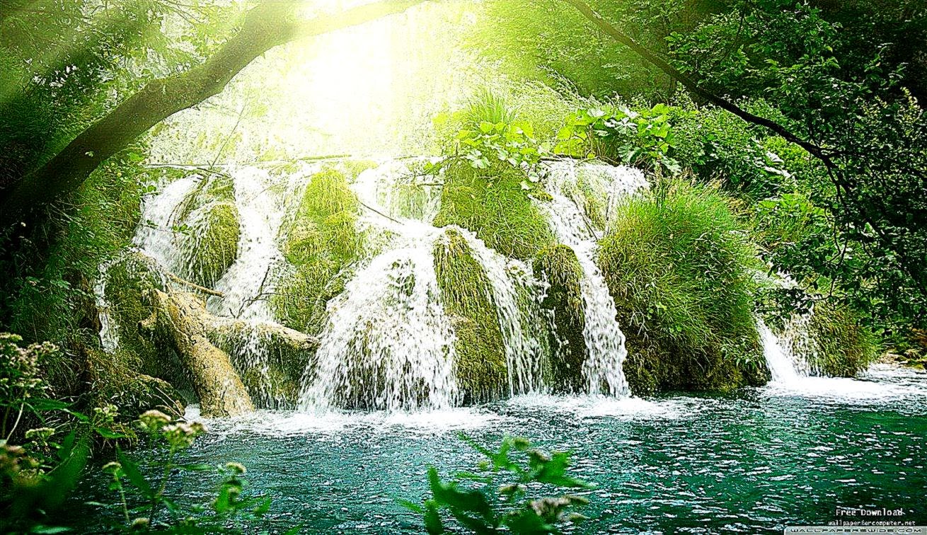 World Most Famous Waterfall Landscape Wallpaper » Page - Waterfall In A Forest - HD Wallpaper 