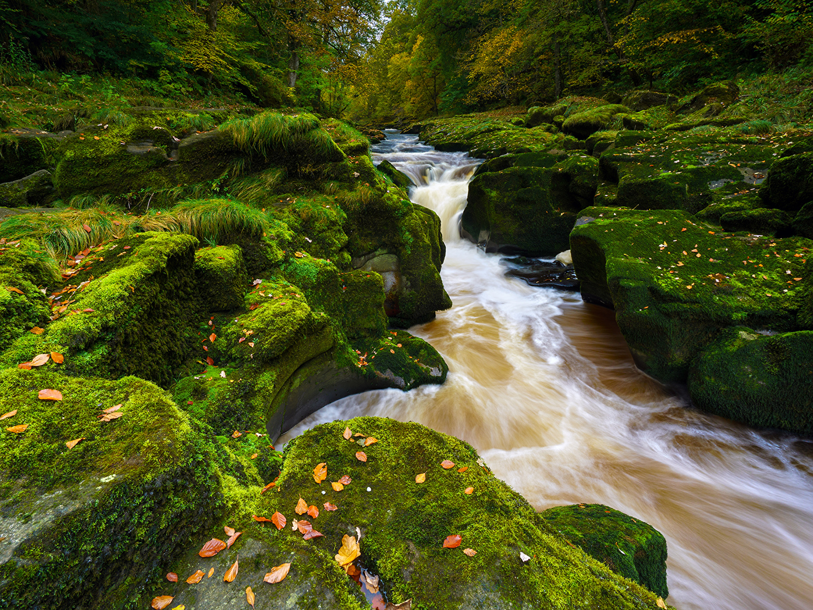 Bolton Strid - HD Wallpaper 